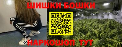гидропоника Гатчина
