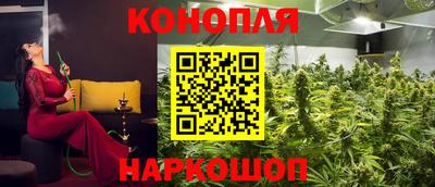 гидропоника Гатчина
