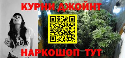сатива Гагарин