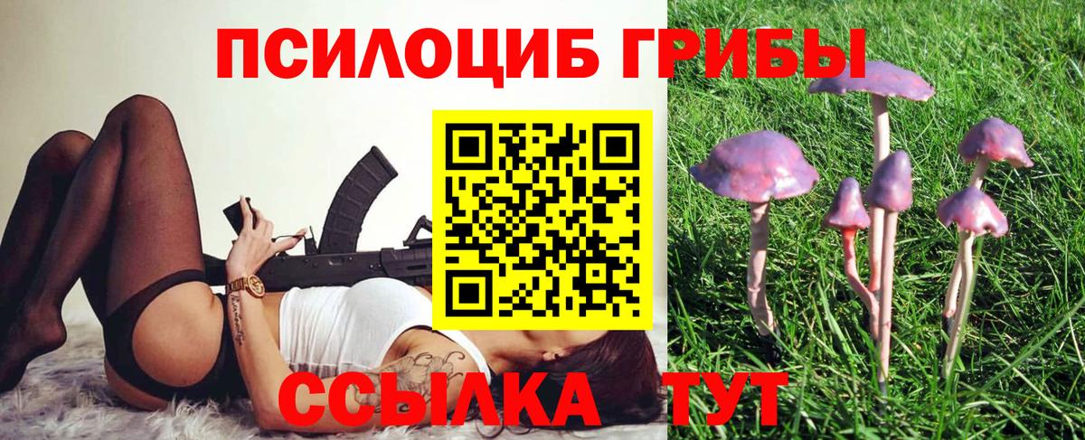 Псилоцибиновые грибы Cubensis Брянск